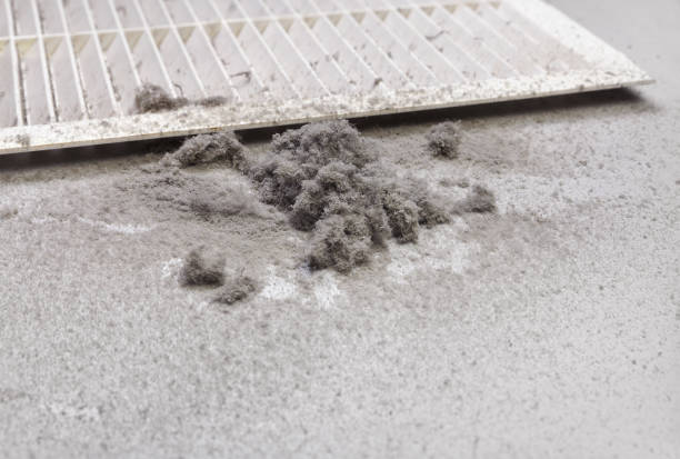 Best Local Air Duct Cleaning Services  in Brawley, CA
