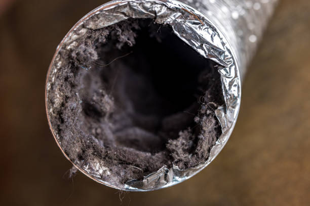 Best Ductwork Cleaning Services  in Brawley, CA